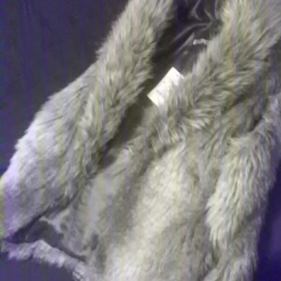 Express vest - Picture 4 of 4