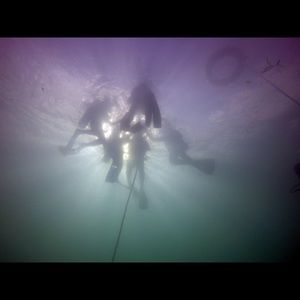 Meet your Posher, Hunter