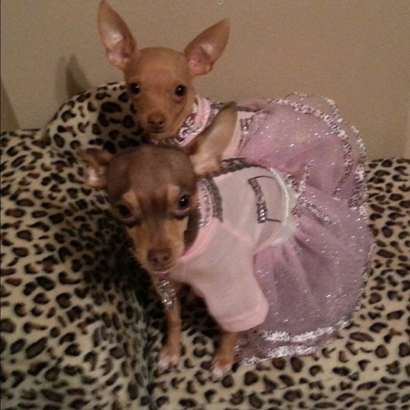 Meet your Posher, Allison - Picture 4 of 4