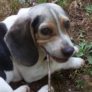 Meet your Posher, Cathy