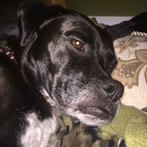 Meet your Posher, Marissa