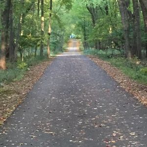 Meet your Posher, Nicki