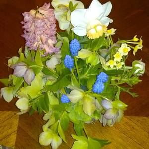 Meet your Posher, May