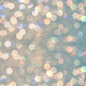 Meet your Posher, Lily