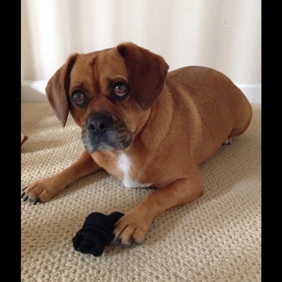 Meet your Posher, Linda - Picture 2 of 2