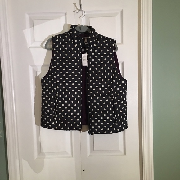 Ann Taylor Loft Vest