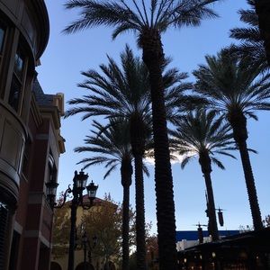 Meet your Posher, Danica