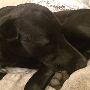 Meet your Posher, Deitra