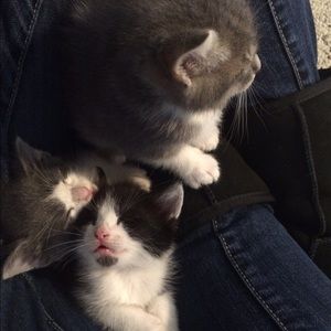 Meet your Posher, Emily