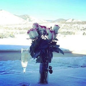 Meet your Posher, Sheila