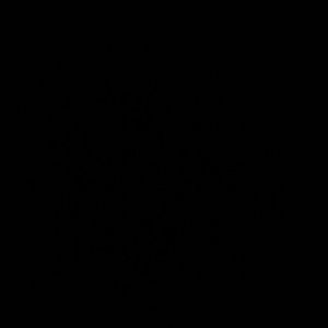 Meet your Posher, Georgia