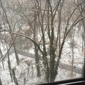 Meet your Posher, Misschellia