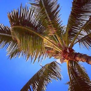 Meet your Posher, Jane