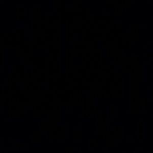 Meet your Posher, Camilo