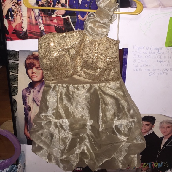 Prom/ Cocktail Dress