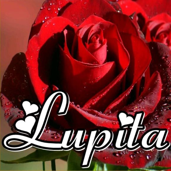 Meet your Posher, Lupita de zamarripa - Picture 1 of 1