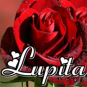 Meet your Posher, Lupita de zamarripa