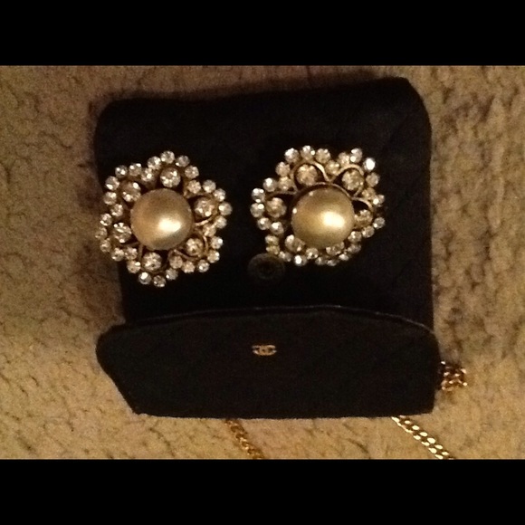 Purse and earrings - Picture 1 of 1