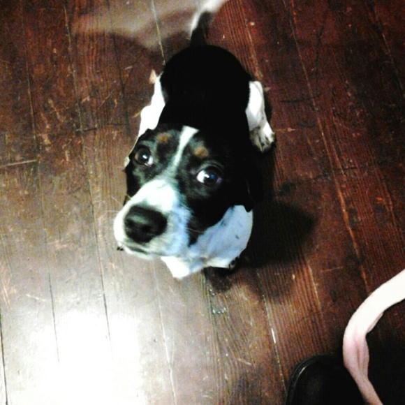 Meet your Posher, Brit