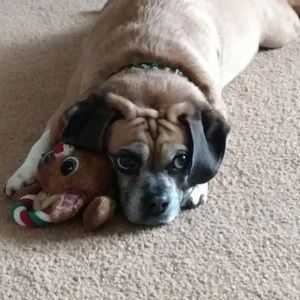 Meet your Posher, Brianne