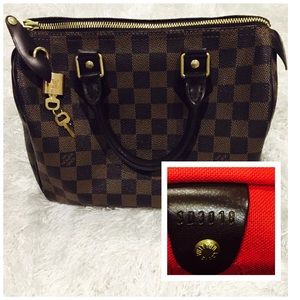 Louis Vuitton Damier Speedy 25