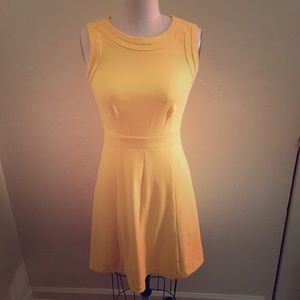 Fit and flare Banana Republic dress