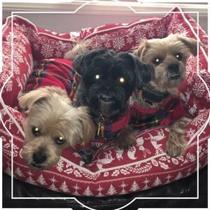 Meet your Posher, Helen