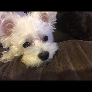 Meet your Posher, Sujin