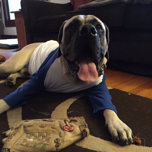 Meet your Posher, Dawn - Picture 1 of 1