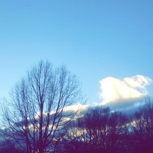 Meet your Posher, Darcie