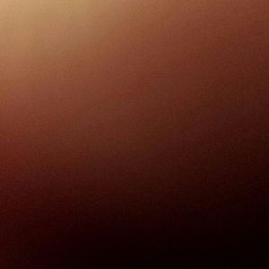 Meet your Posher, Deana