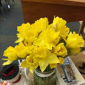 Meet your Posher, Rebecca