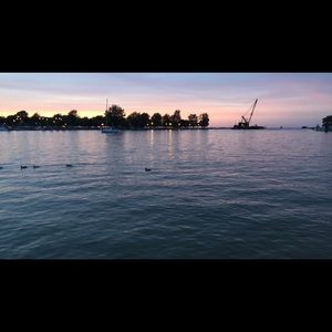 Meet your Posher, Izzy