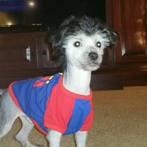 Meet your Posher, Brandie