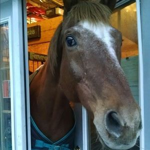 Meet your Posher, Nicole