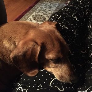 Meet your Posher, Pam