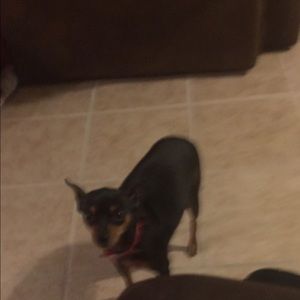 Meet your Posher, Jennie