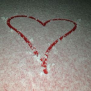 Meet your Posher, Jacy