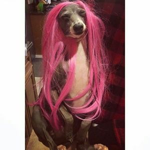 Meet your Posher, Alicia