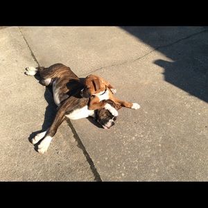 Meet your Posher, Michelle