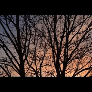 I donated almost everything to tornado victims