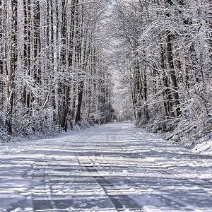 Meet your Posher, Shelly