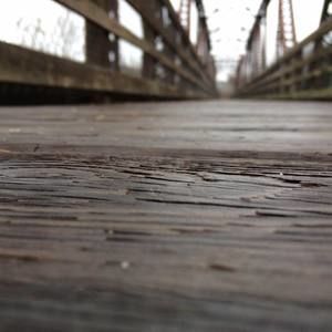 Meet your Posher, Dillon