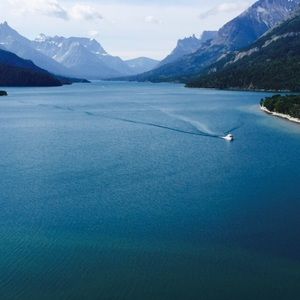 Meet your Posher, Gayle