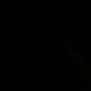 Meet your Posher, Whitney