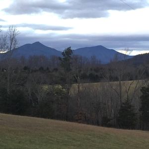 Meet your Posher, Christy