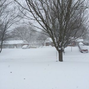 Meet your Posher, Liz