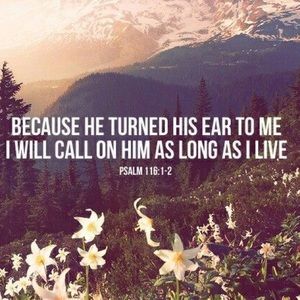 Meet your Posher, Rylee