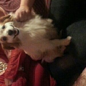 Meet your Posher, Alice