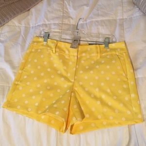 NWT Ann Taylor Signature Shorts 4 1/2 inch Inseam